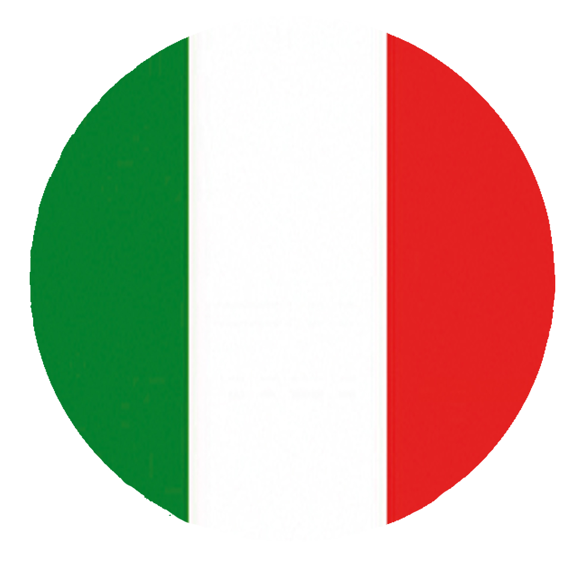 italy flag icon